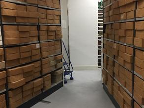 historical documents and old books on two opposite shelves in the LSE basement